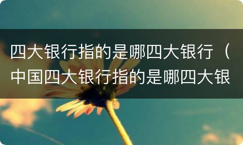 四大银行指的是哪四大银行（中国四大银行指的是哪四大银行）