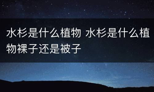 水杉是什么植物 水杉是什么植物裸子还是被子