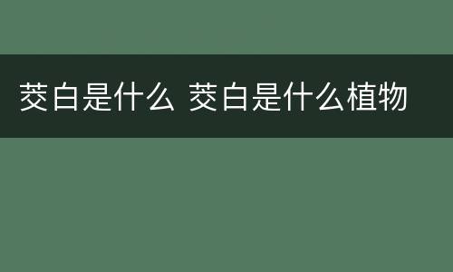 茭白是什么 茭白是什么植物