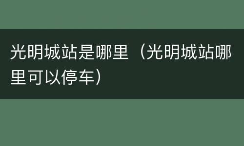 光明城站是哪里（光明城站哪里可以停车）