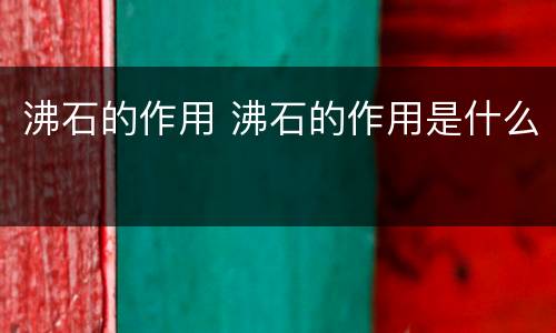 沸石的作用 沸石的作用是什么