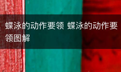 蝶泳的动作要领 蝶泳的动作要领图解