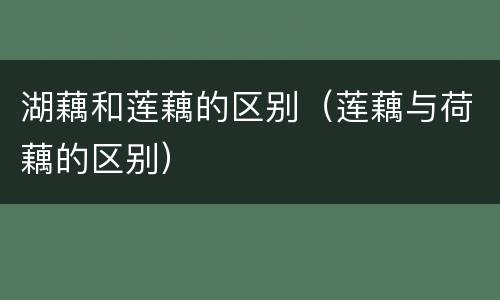 湖藕和莲藕的区别（莲藕与荷藕的区别）
