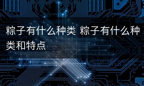 粽子有什么种类 粽子有什么种类和特点