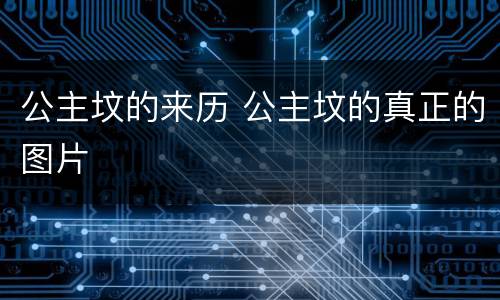 公主坟的来历 公主坟的真正的图片