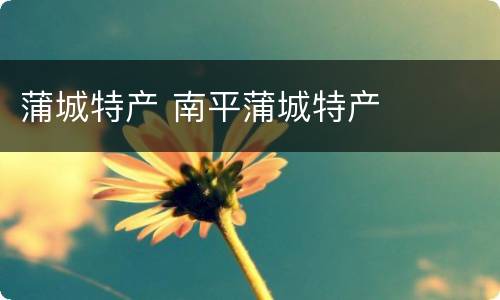 蒲城特产 南平蒲城特产