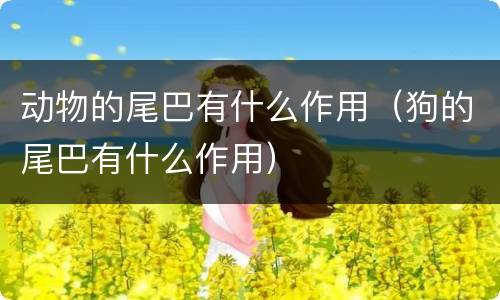 动物的尾巴有什么作用（狗的尾巴有什么作用）