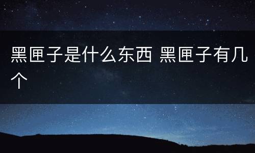 黑匣子是什么东西 黑匣子有几个