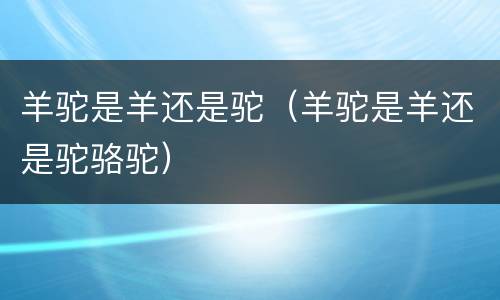 羊驼是羊还是驼（羊驼是羊还是驼骆驼）