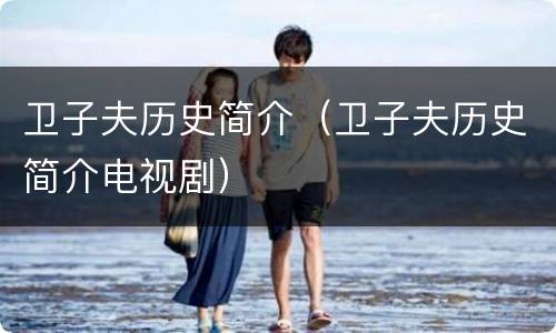卫子夫历史简介（卫子夫历史简介电视剧）