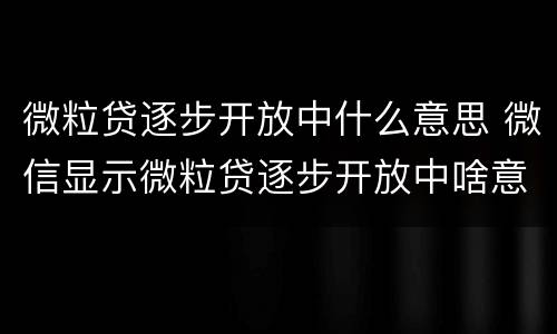 微粒贷逐步开放中什么意思 微信显示微粒贷逐步开放中啥意思
