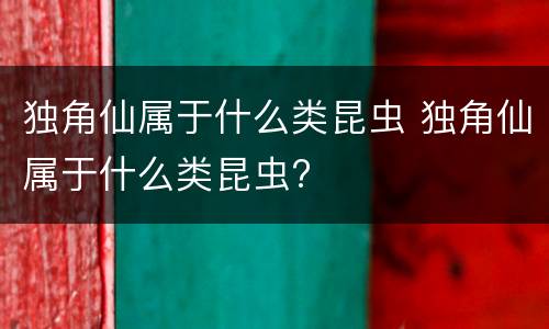 独角仙属于什么类昆虫 独角仙属于什么类昆虫?