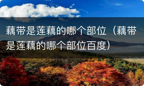藕带是莲藕的哪个部位（藕带是莲藕的哪个部位百度）