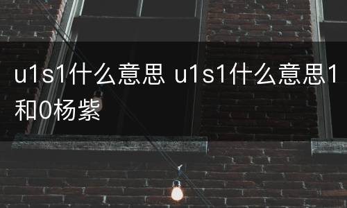 u1s1什么意思 u1s1什么意思1和0杨紫