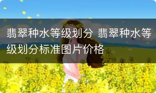翡翠种水等级划分 翡翠种水等级划分标准图片价格