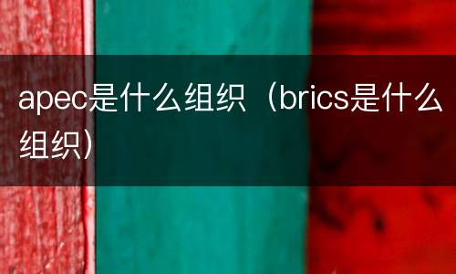 apec是什么组织（brics是什么组织）