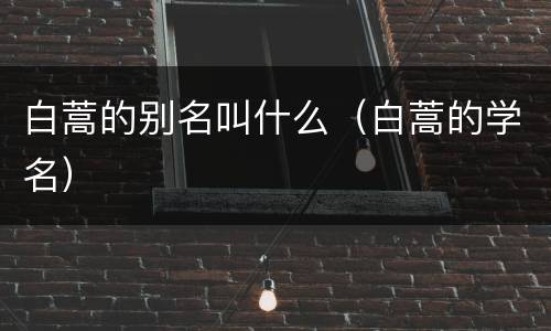 白蒿的别名叫什么（白蒿的学名）