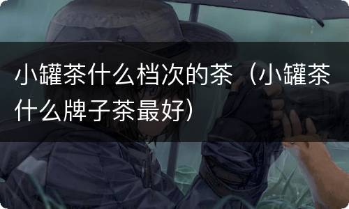 小罐茶什么档次的茶（小罐茶什么牌子茶最好）