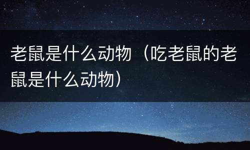 老鼠是什么动物（吃老鼠的老鼠是什么动物）