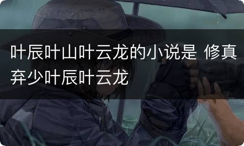叶辰叶山叶云龙的小说是 修真弃少叶辰叶云龙