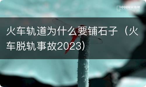 火车轨道为什么要铺石子（火车脱轨事故2023）