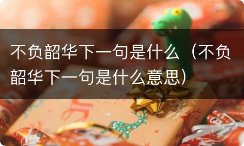 不负韶华下一句是什么（不负韶华下一句是什么意思）
