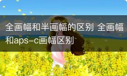 全画幅和半画幅的区别 全画幅和aps-c画幅区别