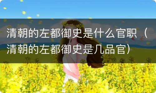 清朝的左都御史是什么官职（清朝的左都御史是几品官）