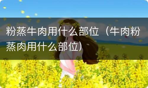 粉蒸牛肉用什么部位（牛肉粉蒸肉用什么部位）