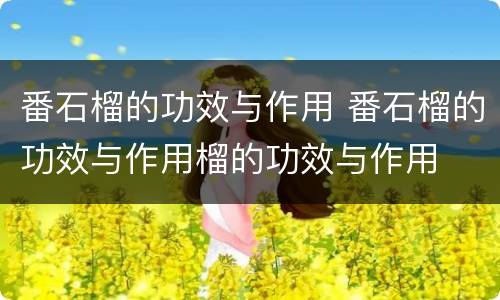 番石榴的功效与作用 番石榴的功效与作用榴的功效与作用