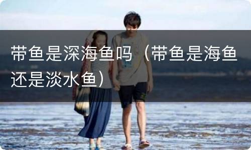 带鱼是深海鱼吗（带鱼是海鱼还是淡水鱼）