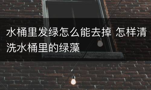 水桶里发绿怎么能去掉 怎样清洗水桶里的绿藻