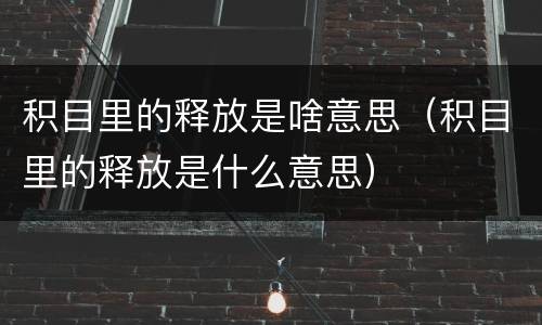 积目里的释放是啥意思（积目里的释放是什么意思）