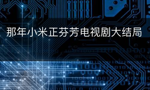 那年小米正芬芳电视剧大结局
