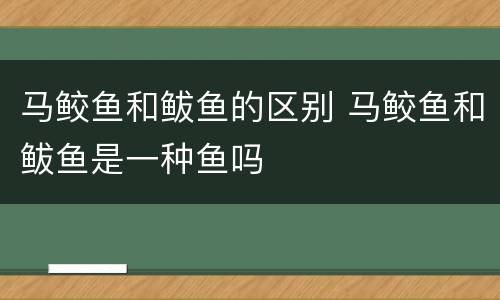 马鲛鱼和鲅鱼的区别 马鲛鱼和鲅鱼是一种鱼吗