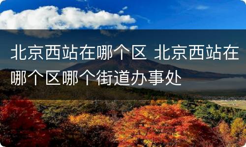 北京西站在哪个区 北京西站在哪个区哪个街道办事处