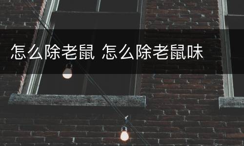 怎么除老鼠 怎么除老鼠味