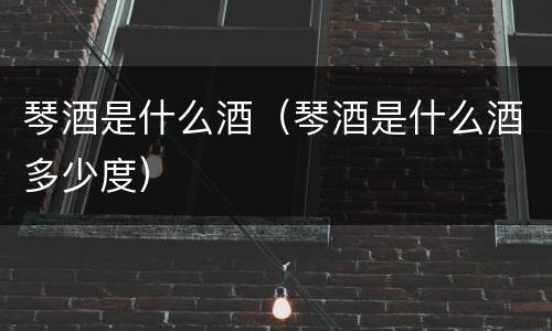 琴酒是什么酒（琴酒是什么酒多少度）