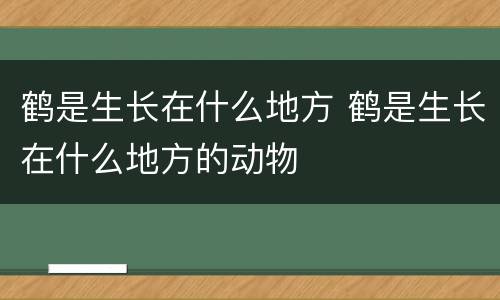 鹤是生长在什么地方 鹤是生长在什么地方的动物