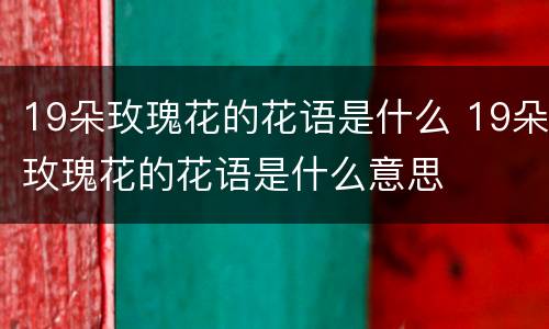 19朵玫瑰花的花语是什么 19朵玫瑰花的花语是什么意思
