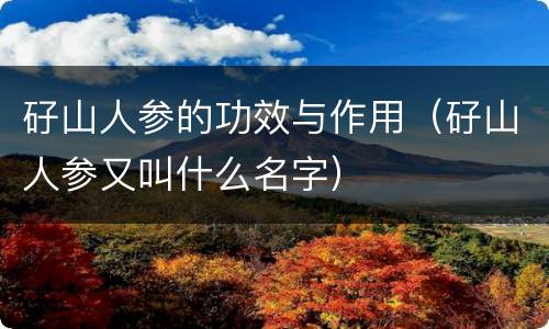 矷山人参的功效与作用（矷山人参又叫什么名字）