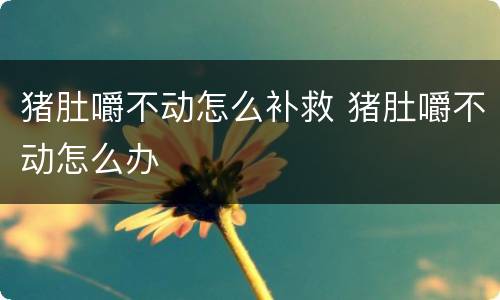 猪肚嚼不动怎么补救 猪肚嚼不动怎么办