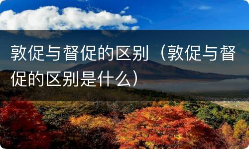 敦促与督促的区别（敦促与督促的区别是什么）