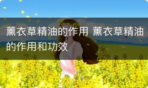 薰衣草精油的作用 薰衣草精油的作用和功效
