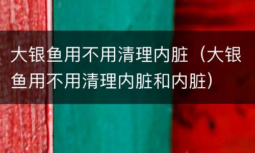 大银鱼用不用清理内脏（大银鱼用不用清理内脏和内脏）