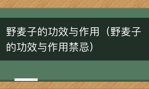 野麦子的功效与作用（野麦子的功效与作用禁忌）