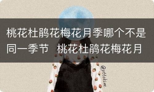 桃花杜鹃花梅花月季哪个不是同一季节  桃花杜鹃花梅花月季中哪种花不在同一季节