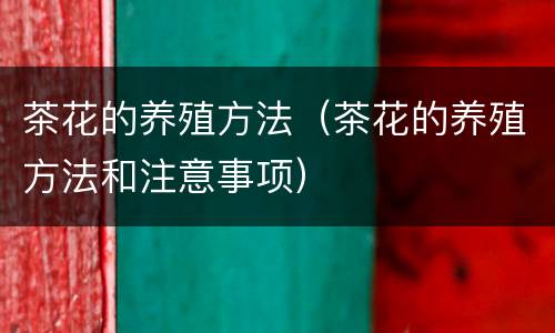 茶花的养殖方法（茶花的养殖方法和注意事项）