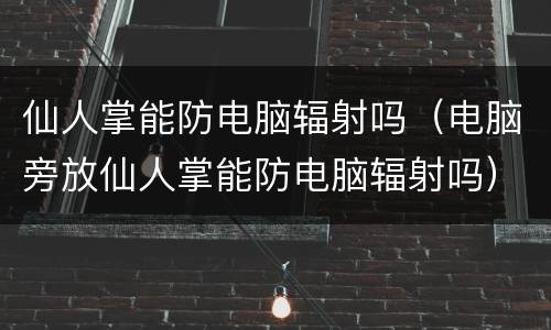 仙人掌能防电脑辐射吗（电脑旁放仙人掌能防电脑辐射吗）