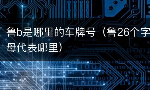 鲁b是哪里的车牌号（鲁26个字母代表哪里）